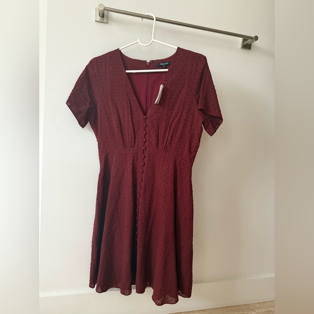 NWT Madewell Button Front Swing Dress in Swiss Dot